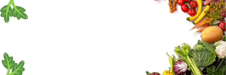 banner2